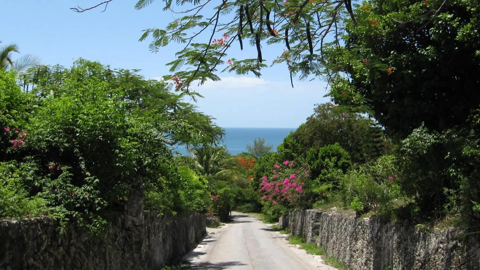 公寓 The Beach Bungalows Estate Estate James Cistern