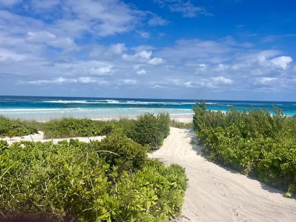 The Beach Bungalows Estate Estate James Cistern 0*,