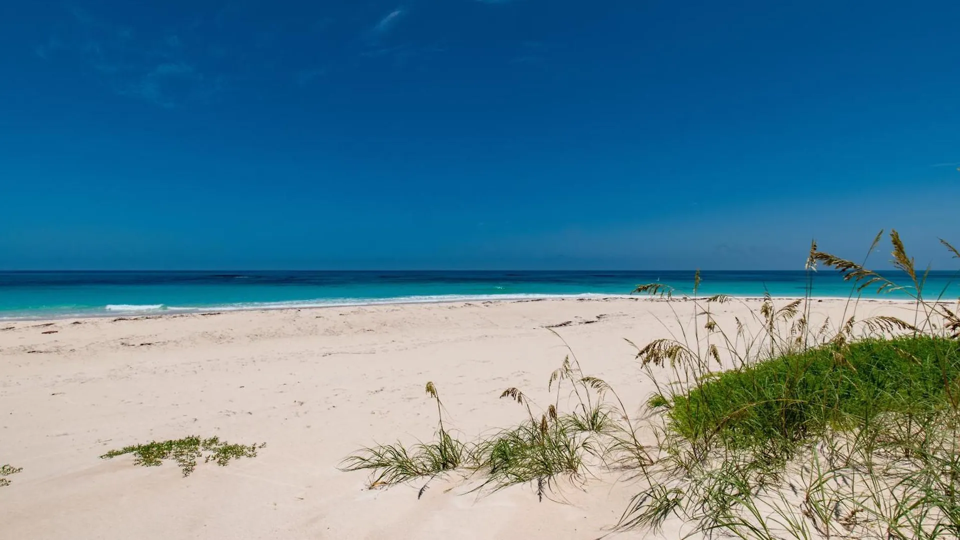 The Beach Bungalows Estate Estate James Cistern Apartment